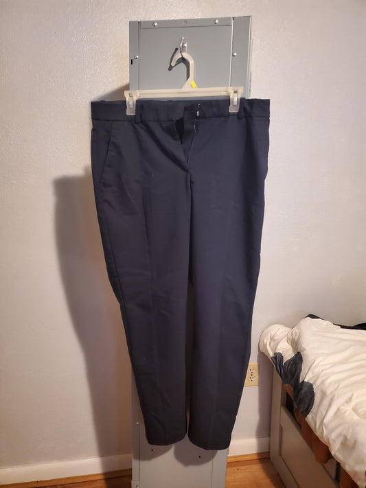 Blue Dress Pants 4E