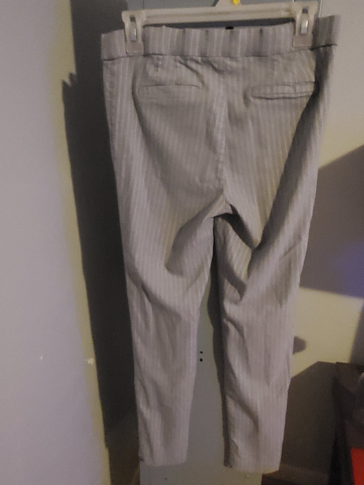 Gray Pin Stripped Dress Pants 28E